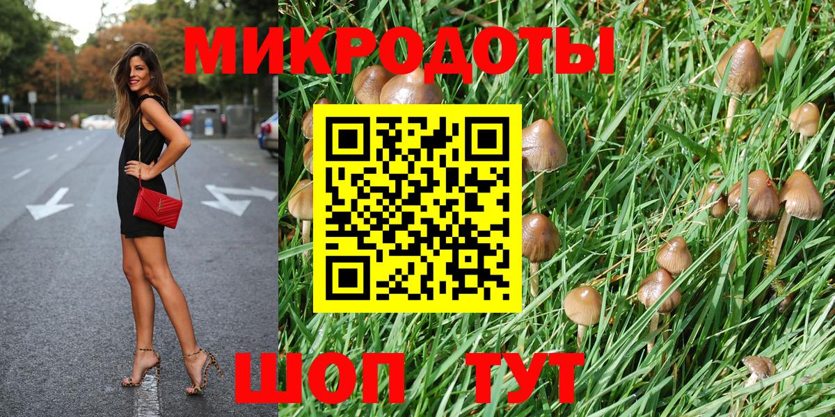Псилоцибиновые грибы мицелий  Галлюциногенные грибы GOLDEN TEACHER  Искитим  Вход с VPN 
